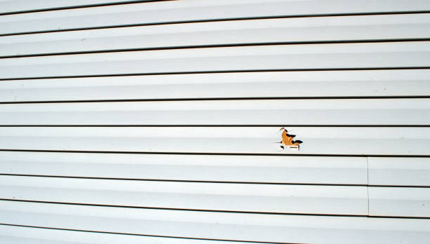 Best Historical Building Siding Restoration  in Kaukauna, WI