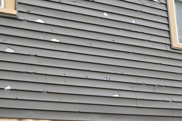 Best Siding Removal and Disposal  in Kaukauna, WI